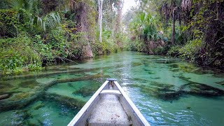 Enjoying Rock Springs Run’s Emerald Waters with the Traveling Island Girl!