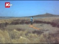 Ayvalık Hasır Adası'nda Yüzlerce Yaban Tavşanı Susuzluk ve Açlıktan Telef Oldu...