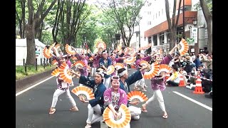 [2024仙台・青葉まつり本祭り]六軒丁睦連 定禅寺通り流し踊り