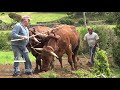 A Vida do Lavrador, Lavrar e Escrepar a Terra em Santo Antão 2019 Ilha São Jorge Açores