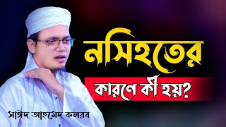 নসিহতের কারণে কি হয়  জেনে রাখুন || মুফতি সাঈদ আহমেদ কলরব || নতুন ওয়াজ ২০২৩।