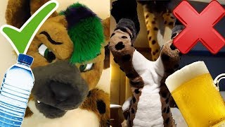 30 Fursuiting Do's and Don'ts