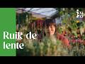 Intratuin - Ruik de lente