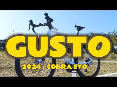 【鱷魚老師】碳纖維公路車開箱高士特Gusto2024新車來啦全隱藏線Gusto Cobra EVO台灣二線公路車評價?歐洲三級職業車隊御用戰駒!?