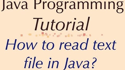 How to read text file in Java?
