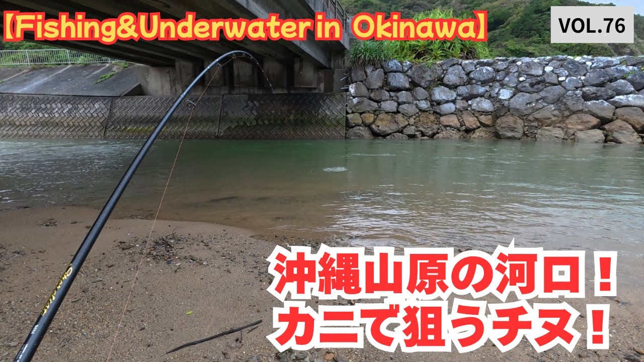 【沖縄釣り】沖縄山原の河口でカニング！チヌを狙う！【水中映像】