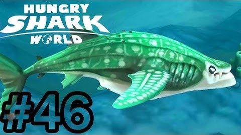 Hungry Shark World #46   Gameplay Whale Shark