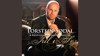 Video thumbnail of "Torstein Sødal - The Lord's Prayer"