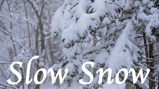 【Lumix S1 180 FPS】Slow Snow【528Hz Solfeggio】