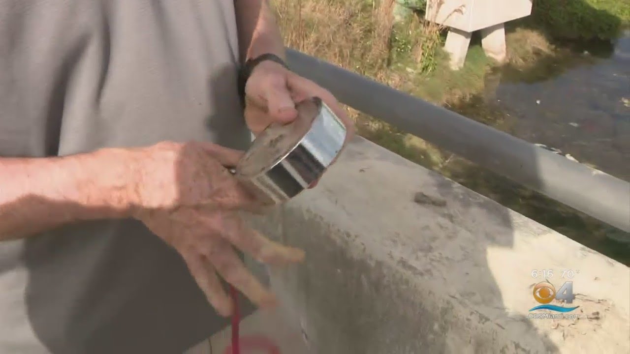 Magnet Fishing Surprise: South Florida Man, Grandson Reel In Sniper Rifles