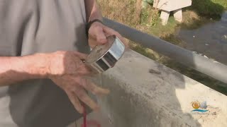 Magnet Fishing Surprise: South Florida Man, Grandson Reel In Sniper Rifles