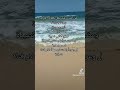 ماجدة الرومي عيناك ليالى صيفية