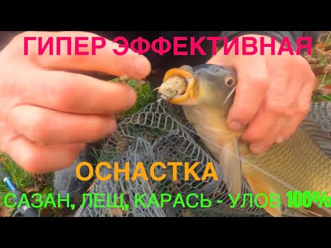 Видео: РАСКРЫВАЮ СЕКРЕТ ГИПЕР УЛОВИСТОЙ ОСНАСТКИ! КАК СМОНТИРОВАТЬ! 100% УЛОВ САЗАНА ЛЕЩА КАРАСЯ ОБЕСПЕЧЕН!