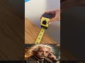 sigma physics teacher #alberteinstein #physics #scienceshorts #shortsfeed #shorts