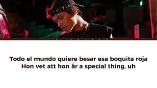 Omar Rudberg – 