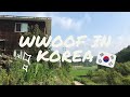 [WWOOFING VLOG #1] SECOND WWOOFING IN KOREA! 🇰🇷