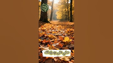 أإلاه مع الله - اللحيدان#القرآن #اسلام #الله #آيات #تلاوة# quran #allah #islam #muslim #viral