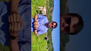 Trevo Vesiculoso Nutrição Verde E Sustentabilidade