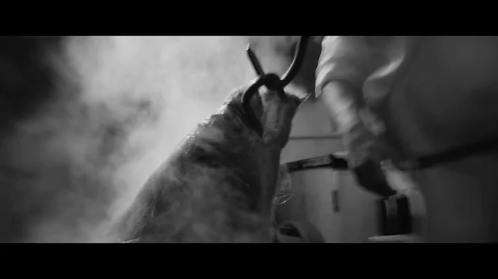 Teaser "LA VOCE" de DAVID ULOTH