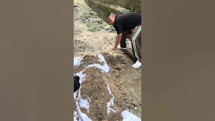 HE ALMOST DIED BURIED ALIVE IN A MOVIE