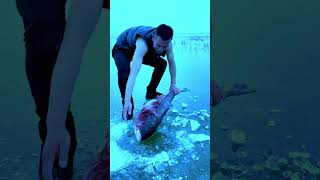 "Eat this and live up to 120 years? 😳 The shocking truth behind this food! 🐟✨#impossible #mustwatch