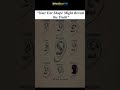 #your #ears #shapes #reveal #knowledge #sharpmind