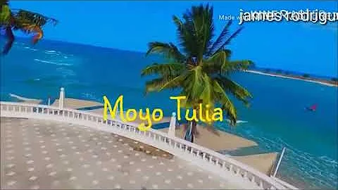 Goodluck Gozbert moyo Tulia (Official video)