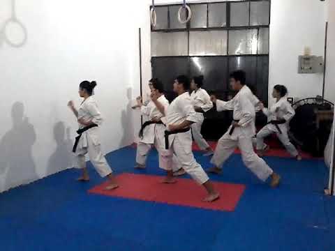 اداء الكاتا الاولي من الفريق الحزام الاسود بشبرا مع كابتن ميلاد حبيب