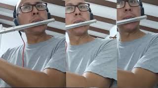 Focus - House of the king. Flute cover.