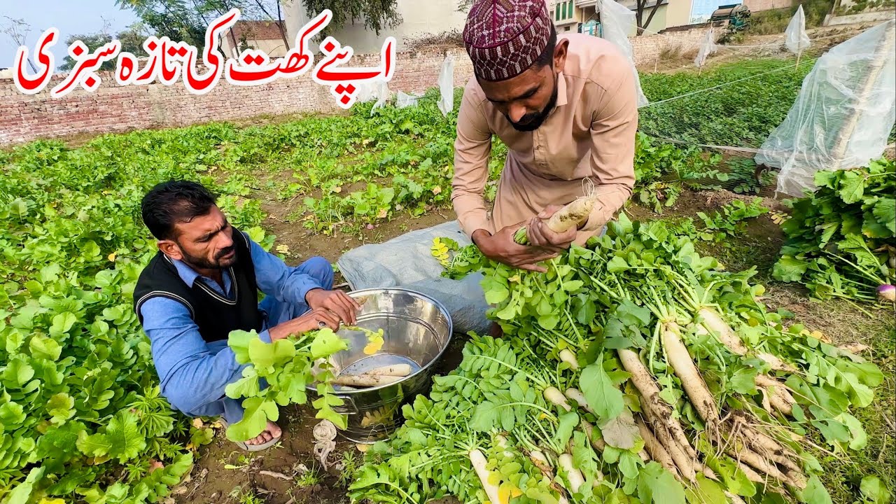 Альхамдулиллах Наши Поля Свежие Овощи