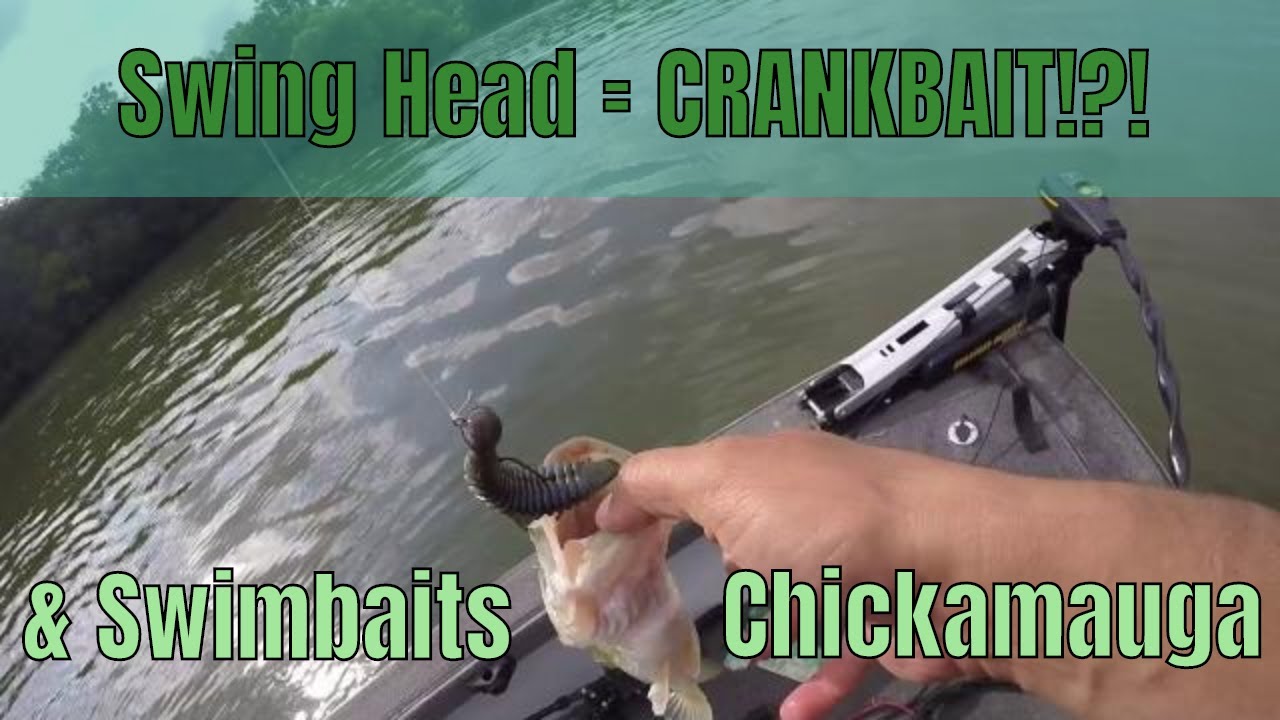 Chickamauga Big Bass Swimbait and Swing Head Domination!
