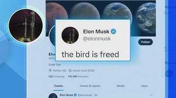 Elon Musk has taken control of Twitter and fired its top executives