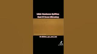 gambaran sperma saat di zoom vidio tik tok