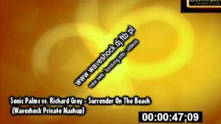 Sonic Palms vs. Richard Grey - Surrender On The Beach (Waveshock Private Mashup)
