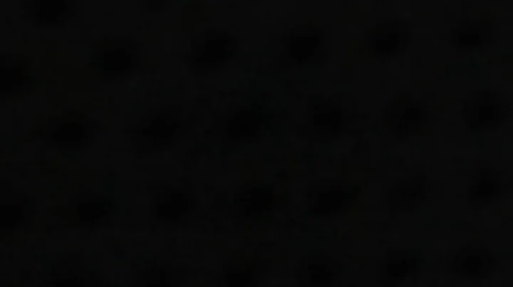 DWQZ-FM (97.9 Home Radio Natural) Station ID in 2015