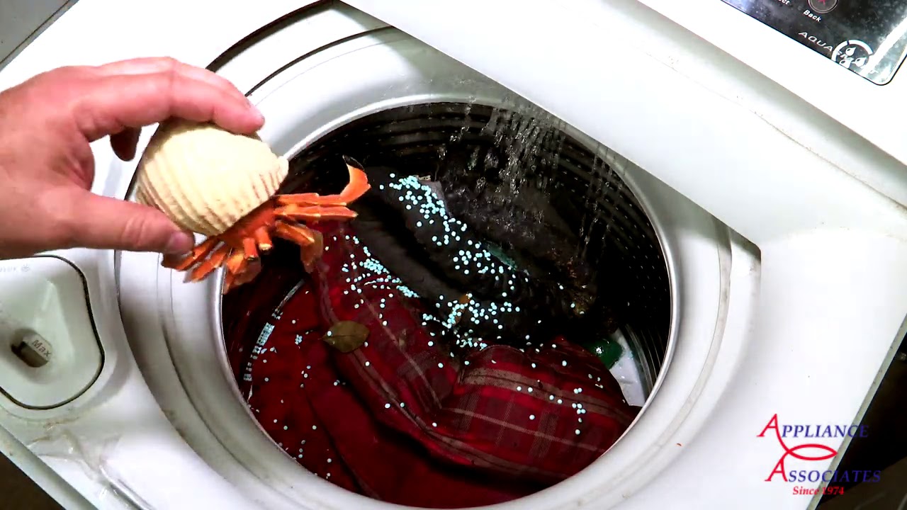 Fisher Paykel Washer WL26CW1 Haul off washer Testing Washing dog bed