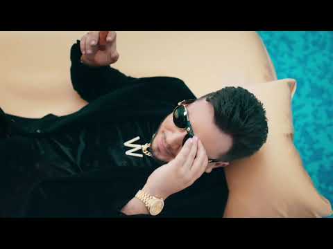 وديع الشيخ انا او لا احد 