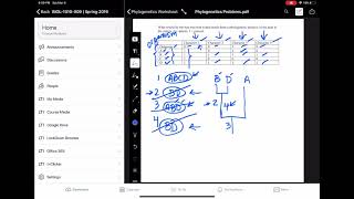 Phylogenetic Tree Graphing & Comparison