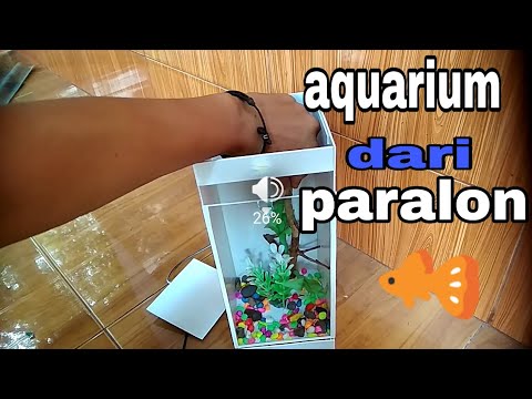 aquarium dari pipa PVC YouTube