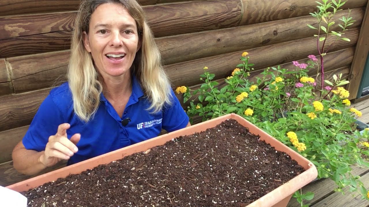 Florida Wildflower Seed Planting In Container YouTube Florida Wildflower Seed Planting In Container YouTube