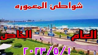 شاطئ المعموره العام والخاص وسعر تذكرة دخول الشواطئ أسكندريه ٢٠٢٣