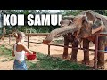 Wie soll es bloß weiter gehen? Koh Samui Elephant Sanctuary • Thailand | VLOG 538