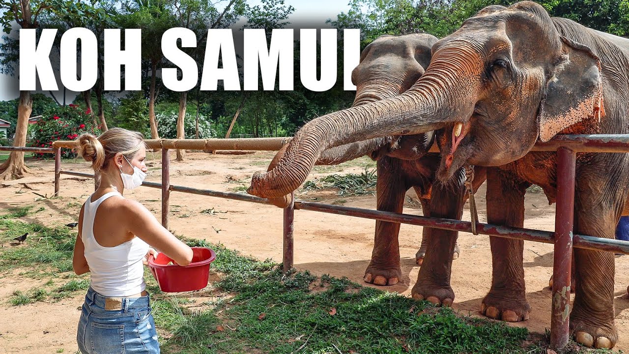 Wie soll es bloß weiter gehen? Koh Samui Elephant Sanctuary • Thailand | VLOG 538