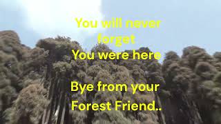 Pine Forest View Point, Darjeeling