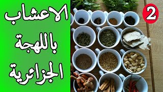 10 أعشاب مترجمة الى اللهجة الجزائرية - الجزء2  🇩🇿🇩🇿