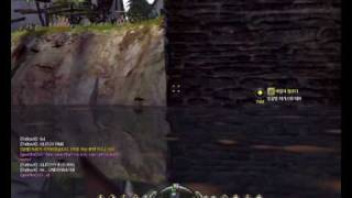 Dragon Nest Bridge Bug