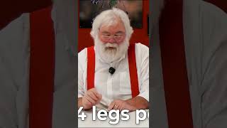 What's the difference between a centipede and a millipede? Part 1 #science #minibeasts #stem