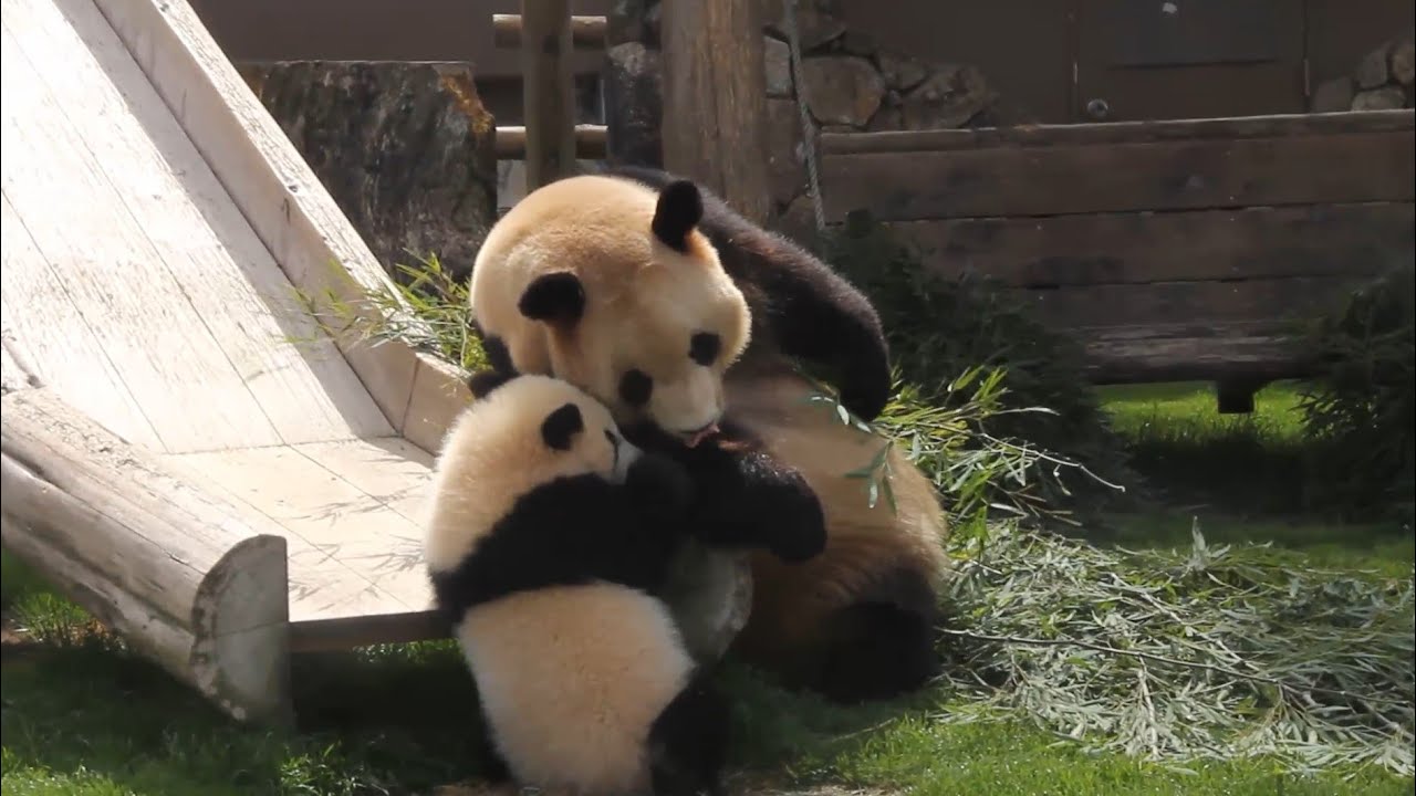 アドベンチャーワールド 優浜 (2013.4.1)