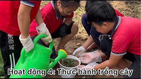 Công nghệ - lớp 4- Bài: Trồng hoa, cây cảnh trong chậu - cô giáo Vũ Quế Anh-Trường Tiểu học Bích Sơn