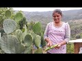 Así se come sano en el ranchito sin gastar dinero; tortillas a mano con nopales y salsa a la cazuela